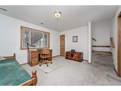 83 El Lobo Ln, Bailey, CO 80421 photo 21