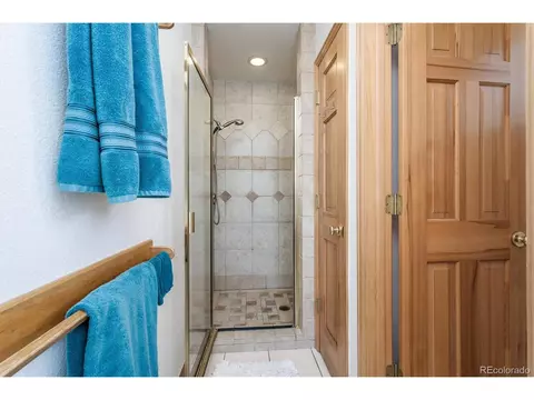 83 El Lobo Ln, Bailey, CO 80421 photo 19