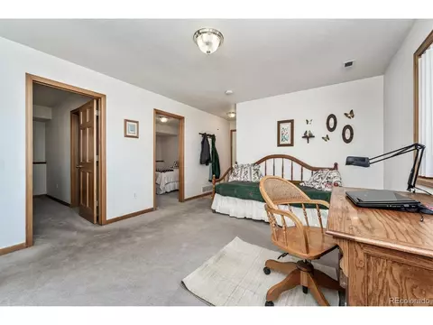 83 El Lobo Ln, Bailey, CO 80421 photo 22