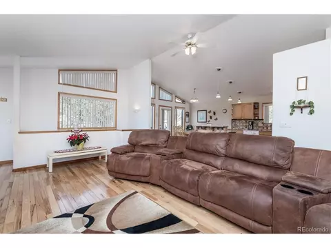 83 El Lobo Ln, Bailey, CO 80421 photo 7