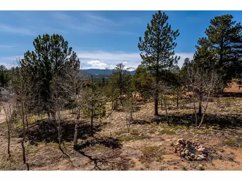 83 El Lobo Ln, Bailey, CO 80421 photo 29