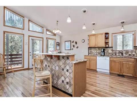 83 El Lobo Ln, Bailey, CO 80421 photo 9