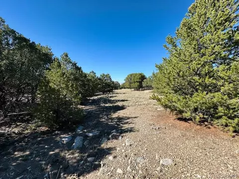 133 Cedar Ridge Rd, Mosca, CO 81146 photo 5