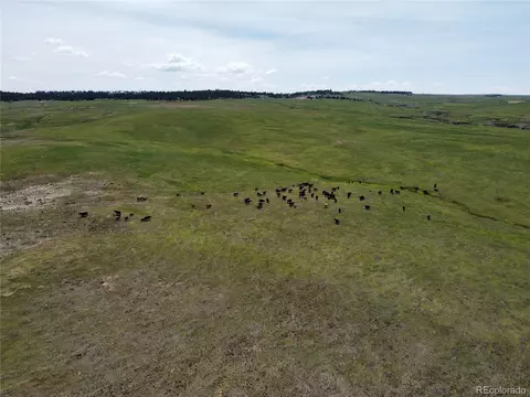 8 County Road 77, Calhan, CO 80808
