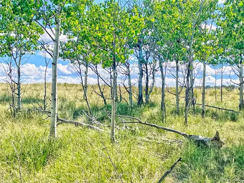 24 Pelican Pl, Como, CO 80432 photo 5