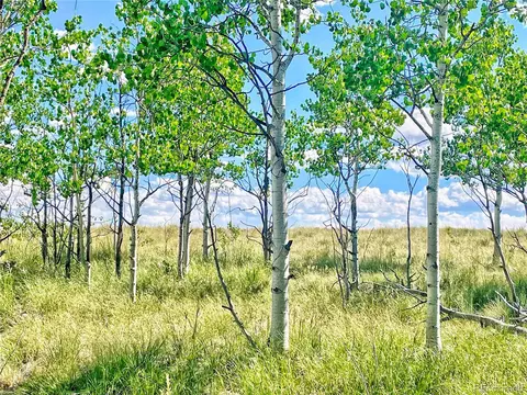 24 Pelican Pl, Como, CO 80432 photo 8