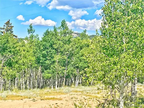 24 Pelican Pl, Como, CO 80432 photo 19