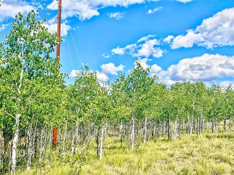 24 Pelican Pl, Como, CO 80432 photo 6