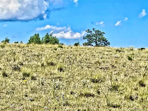 24 Pelican Pl, Como, CO 80432 photo 15