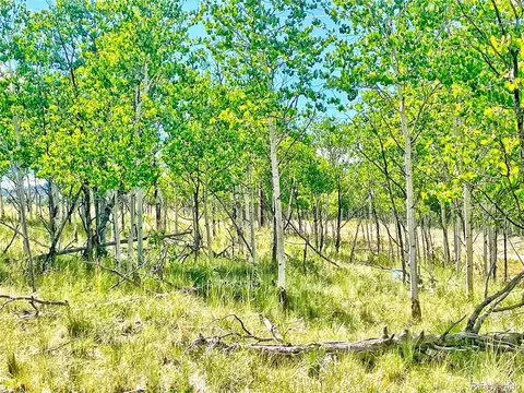 24 Pelican Pl, Como, CO 80432 photo 7