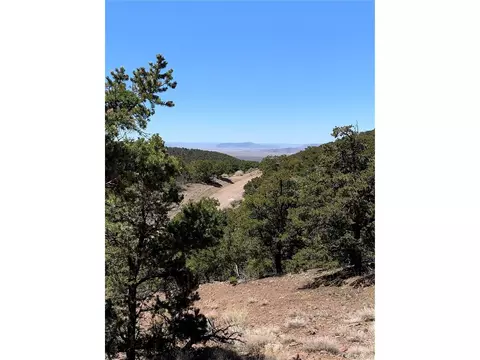 5139 Beckett Rd, Fort Garland, CO 81133
