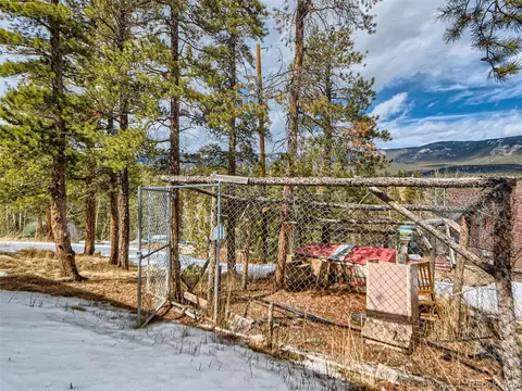 95 Singer Dr, Bailey, CO 80421 photo 25