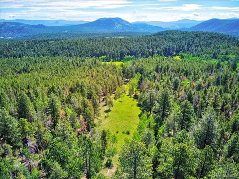 7563 Co Road 68, Bailey, CO 80421 photo 3