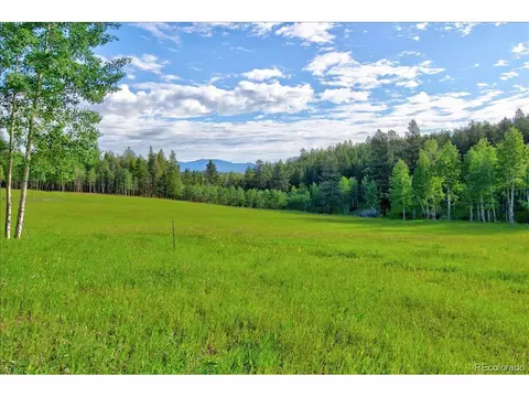 7563 Co Road 68, Bailey, CO 80421 photo 8