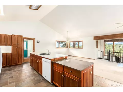 160 Hummingbird Ct, Bailey, CO 80421 photo 11
