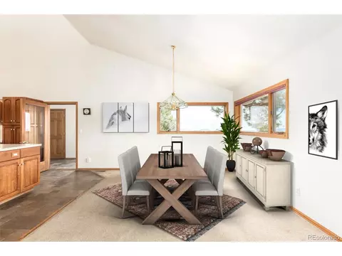 160 Hummingbird Ct, Bailey, CO 80421 photo 12