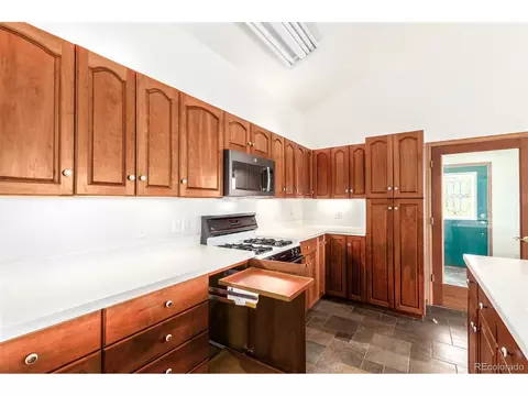 160 Hummingbird Ct, Bailey, CO 80421 photo 10