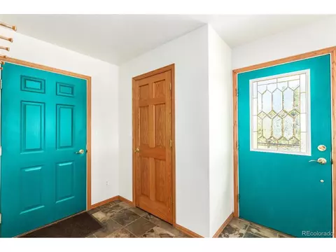 160 Hummingbird Ct, Bailey, CO 80421 photo 5