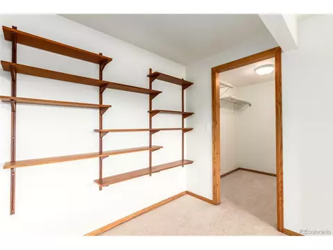 160 Hummingbird Ct, Bailey, CO 80421 photo 28
