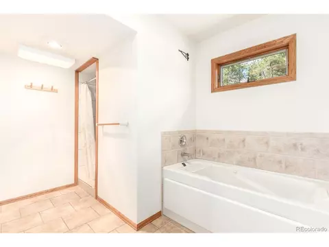 160 Hummingbird Ct, Bailey, CO 80421 photo 21