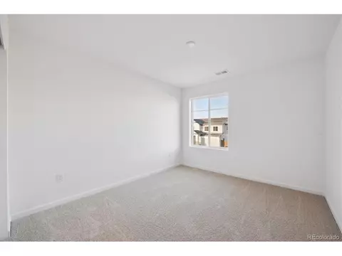 5512 Brangus Dr, Windsor, CO 80528 photo 19