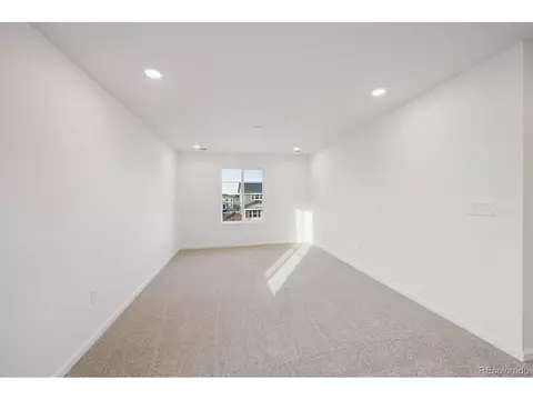 5512 Brangus Dr, Windsor, CO 80528 photo 12