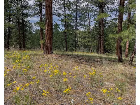 440 Wykagyl Rd, Westcliffe, CO 81252