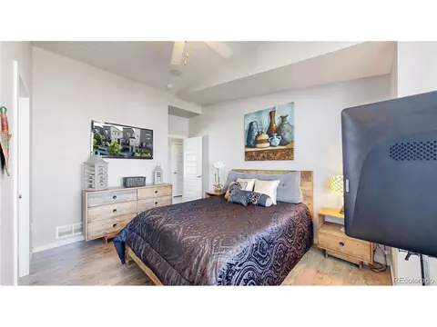 9044 E 49th Pl, Denver, CO 80238 photo 25