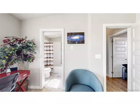 9044 E 49th Pl, Denver, CO 80238 photo 20