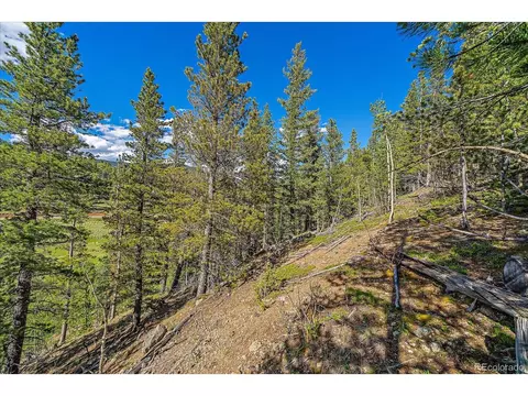 454 Smith Rd, Bailey, CO 80421 photo 3