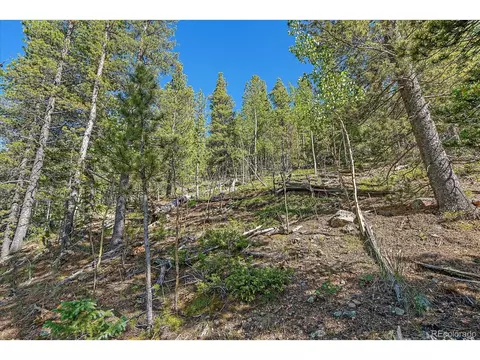 454 Smith Rd, Bailey, CO 80421 photo 2