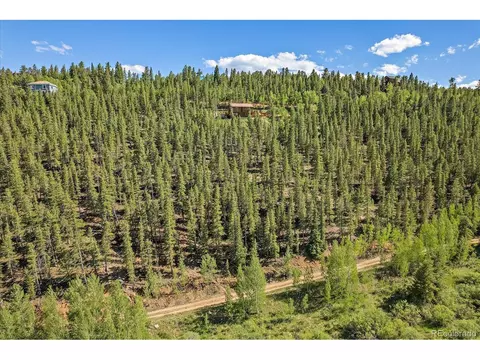 454 Smith Rd, Bailey, CO 80421 photo 11