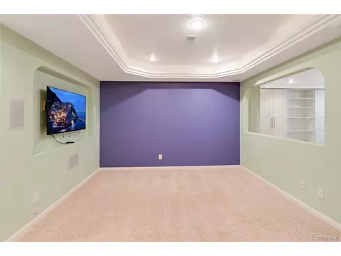 20436 Euclid Dr, Centennial, CO 80016 photo 27