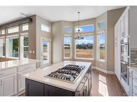 20436 Euclid Dr, Centennial, CO 80016 photo 10