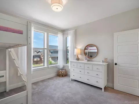 9193 E 61st Pl, Denver, CO 80238 photo 25