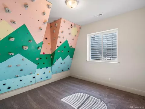 9193 E 61st Pl, Denver, CO 80238 photo 29