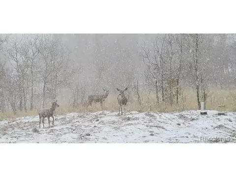 336 Apache Trl, Como, CO 80432 photo 36