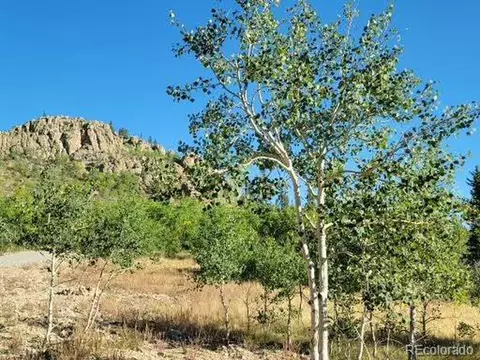 336 Apache Trl, Como, CO 80432 photo 37