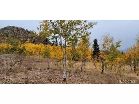 336 Apache Trl, Como, CO 80432 photo 33