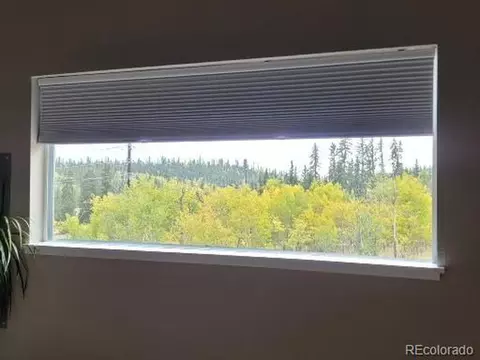 336 Apache Trl, Como, CO 80432 photo 34