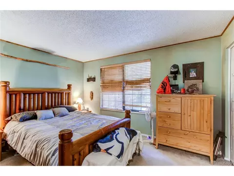 4491 S Braun Ct, Morrison, CO 80465 photo 10