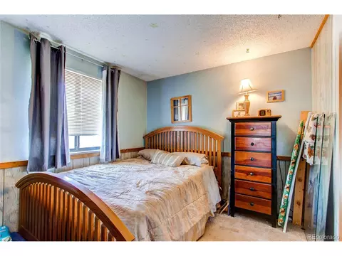4491 S Braun Ct, Morrison, CO 80465 photo 14