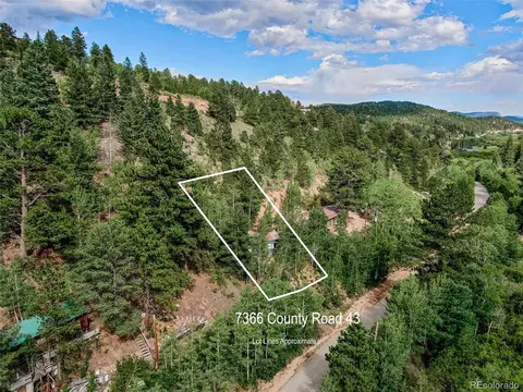 7366 County Road 43, Bailey, CO 80421 photo 3