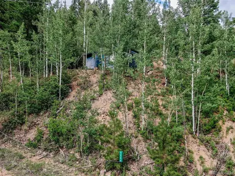 7366 County Road 43, Bailey, CO 80421 photo 2