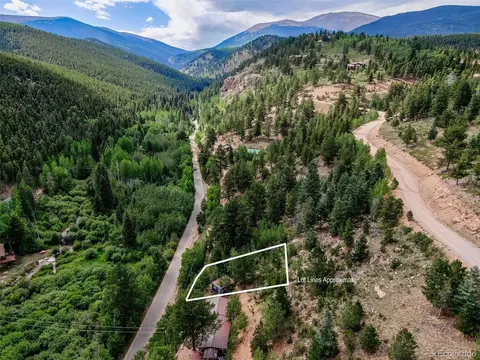 7366 County Road 43, Bailey, CO 80421 photo 10