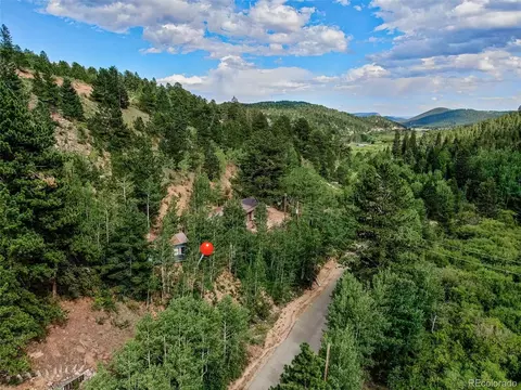 7366 County Road 43, Bailey, CO 80421 photo 24