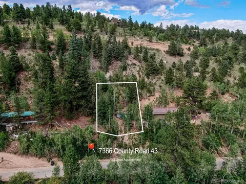 7366 County Road 43, Bailey, CO 80421 photo 7