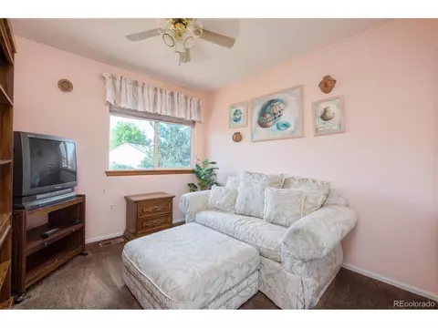2518 E 126th Pl, Thornton, CO 80241 photo 17