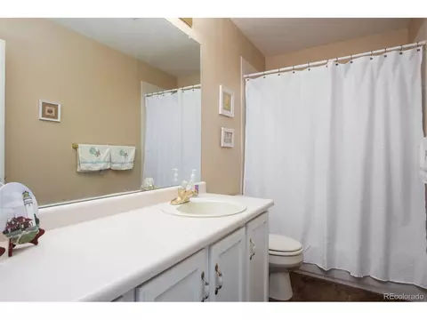 2518 E 126th Pl, Thornton, CO 80241 photo 16
