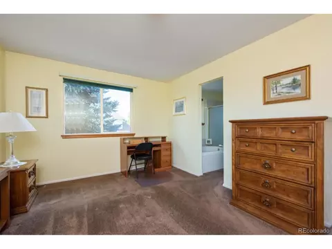 2518 E 126th Pl, Thornton, CO 80241 photo 19